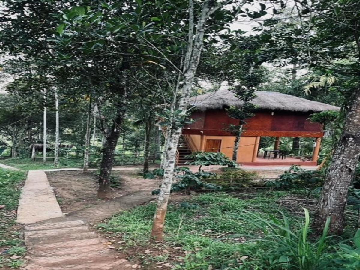 Kuruva Shoreline Wayanad Chegat Ngoại thất bức ảnh