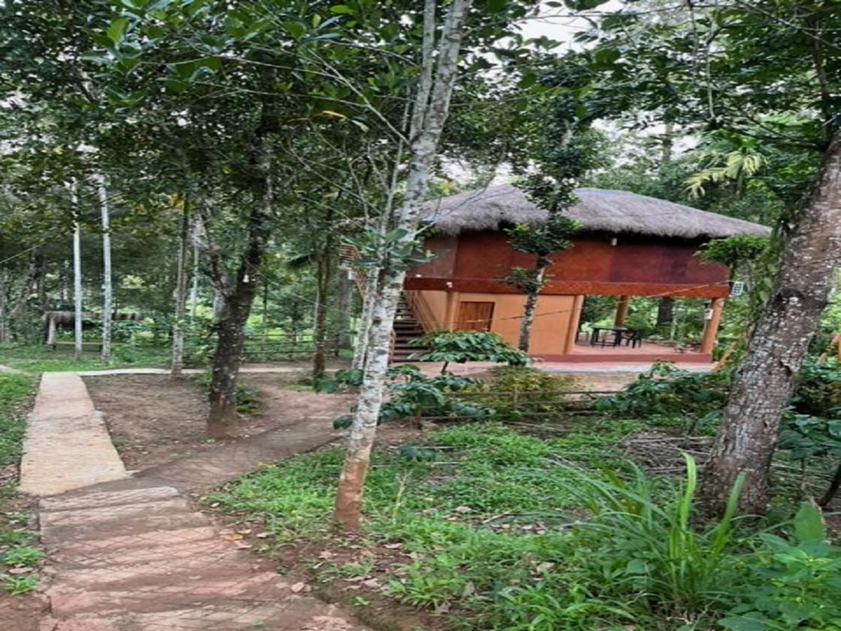 Kuruva Shoreline Wayanad Chegat Ngoại thất bức ảnh