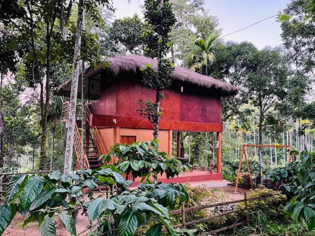 Kuruva Shoreline Wayanad Chegat Ngoại thất bức ảnh