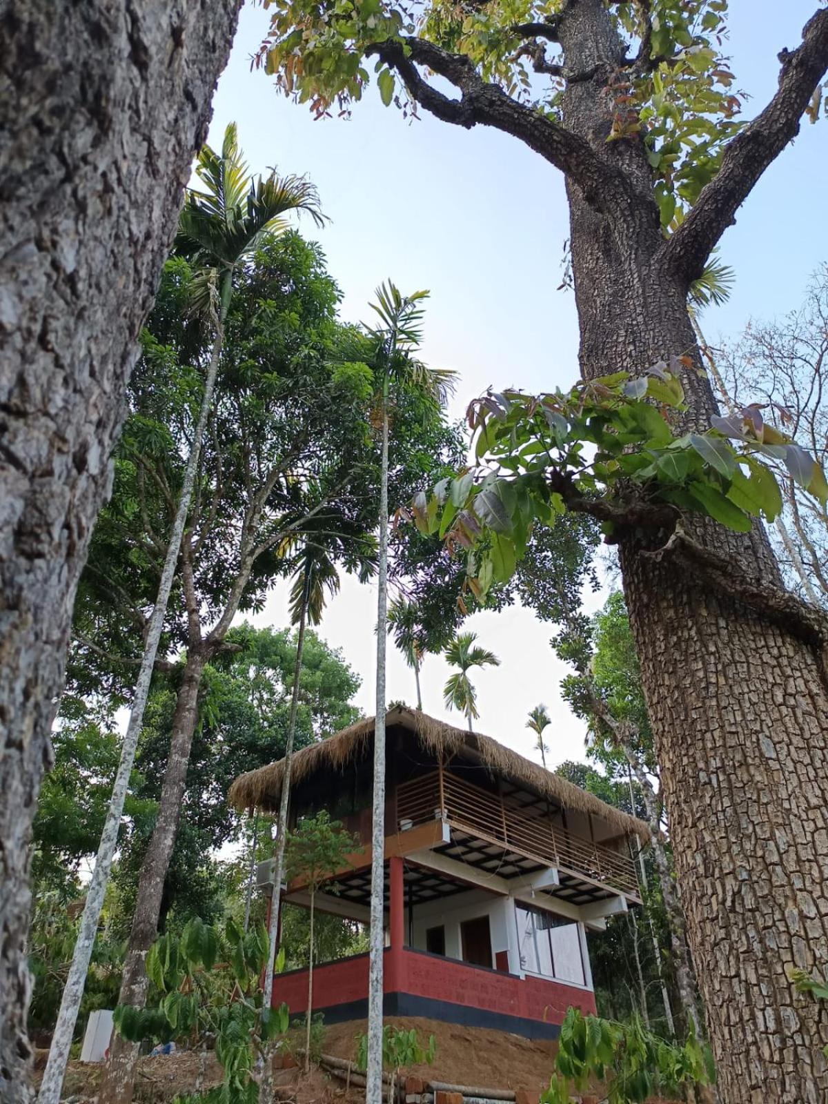 Kuruva Shoreline Wayanad Chegat Ngoại thất bức ảnh