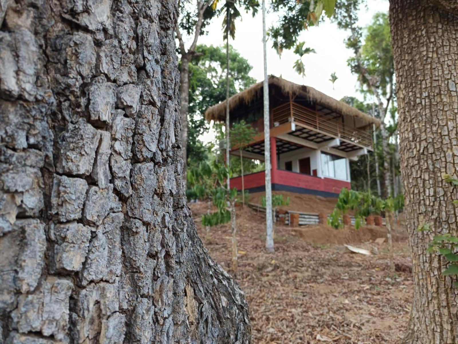 Kuruva Shoreline Wayanad Chegat Ngoại thất bức ảnh
