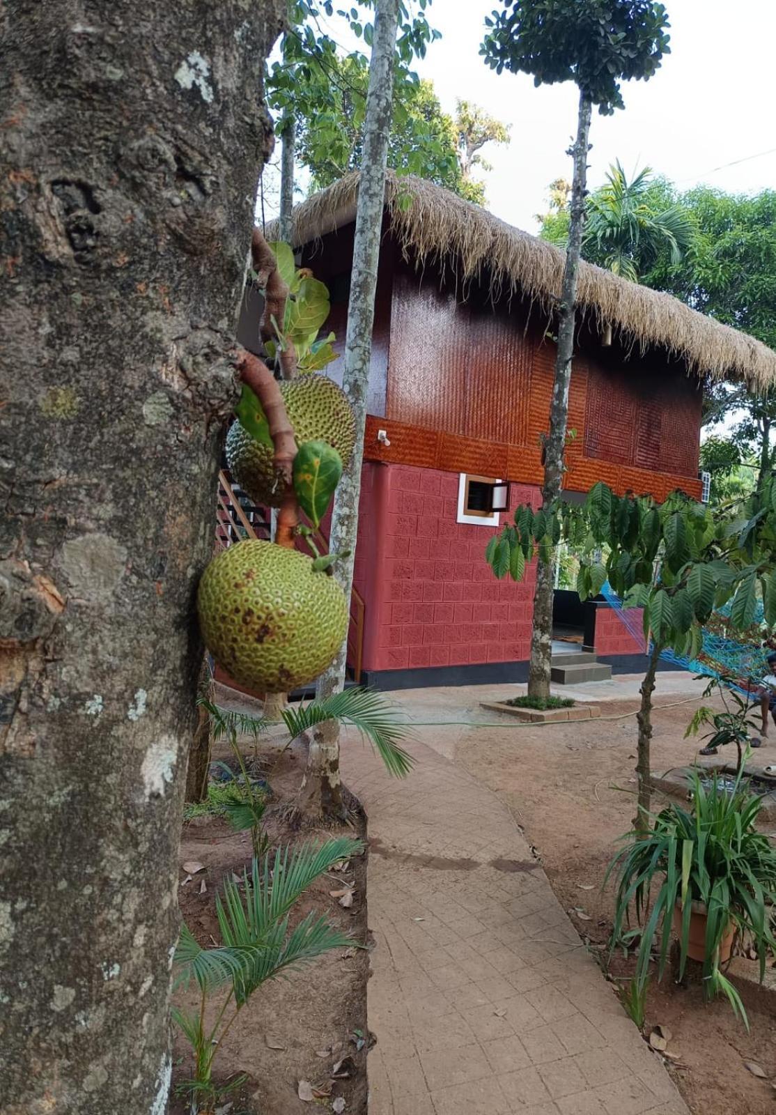 Kuruva Shoreline Wayanad Chegat Ngoại thất bức ảnh