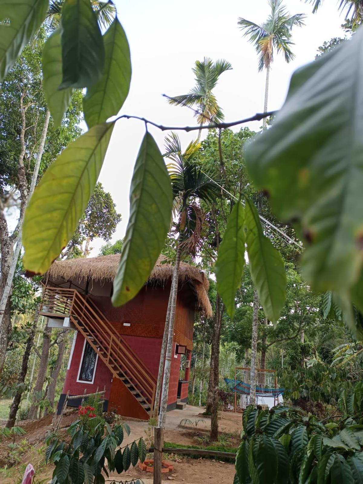 Kuruva Shoreline Wayanad Chegat Ngoại thất bức ảnh