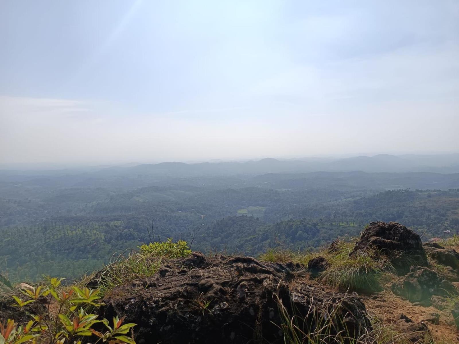 Kuruva Shoreline Wayanad Chegat Ngoại thất bức ảnh